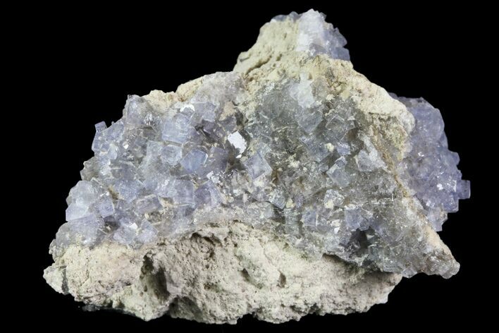 Purple/Gray Fluorite Cluster - Marblehead Quarry Ohio #81163